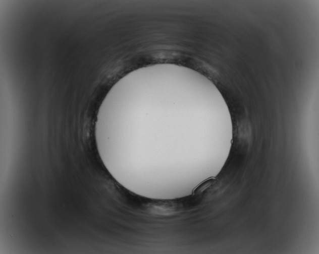 X0000083560567200703021722