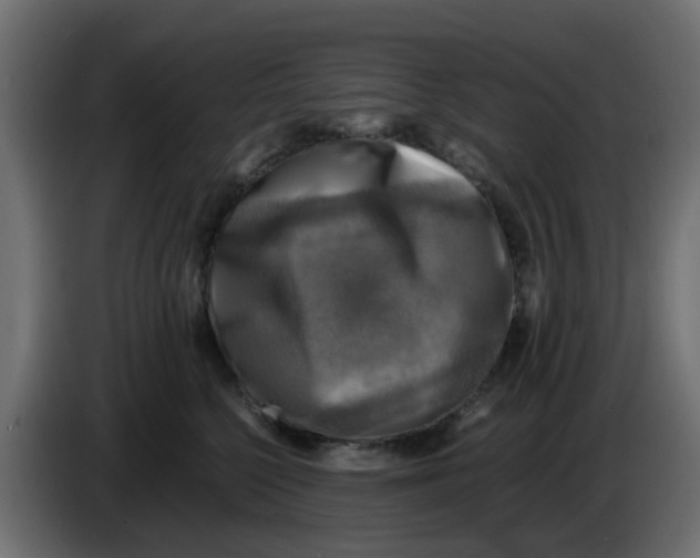 X0000083560568200703021722