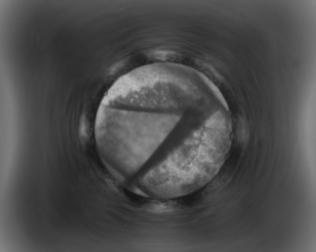 X0000083560569200703021722