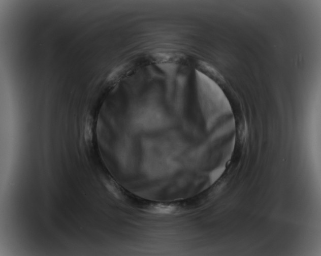 X0000083560570200703021722