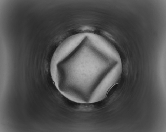 X0000083560571200703021722