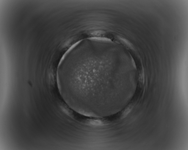 X0000083560572200703021722