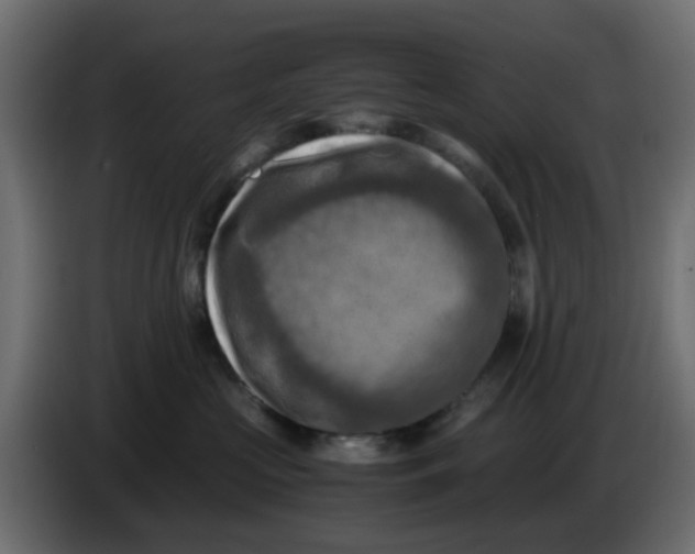 X0000083560573200703021722