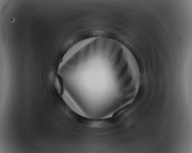 X0000083560575200703021722