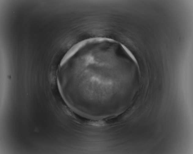 X0000083560576200703021722