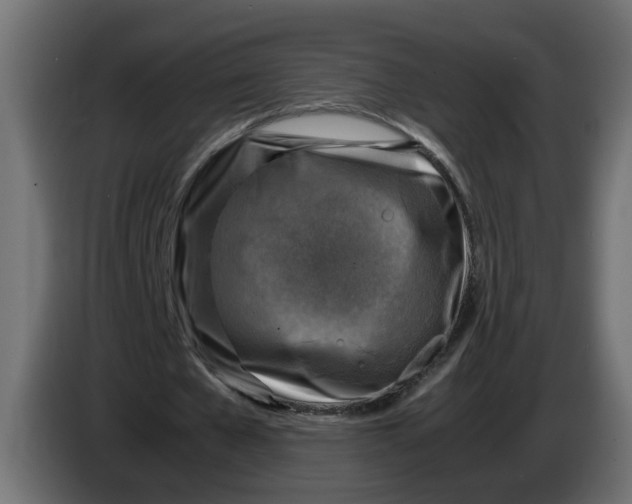 X0000083560577200703021721