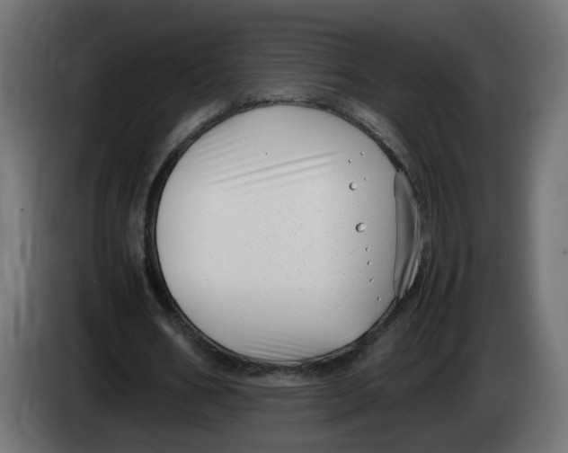 X0000083560578200703021721