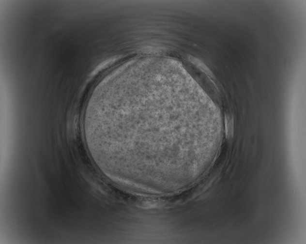 X0000083560579200703021721