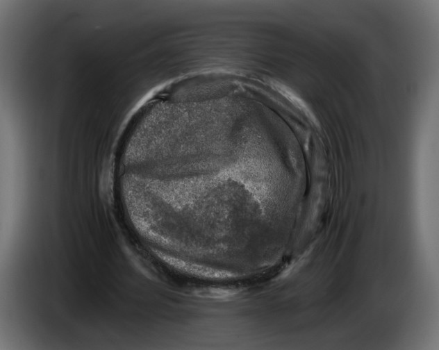 X0000083560580200703021721