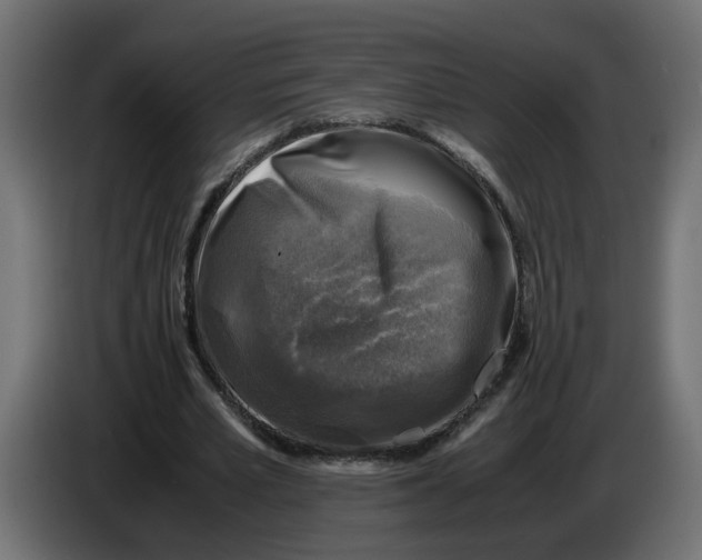 X0000083560581200703021721