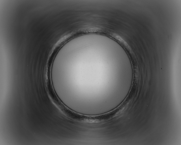 X0000083560582200703021721