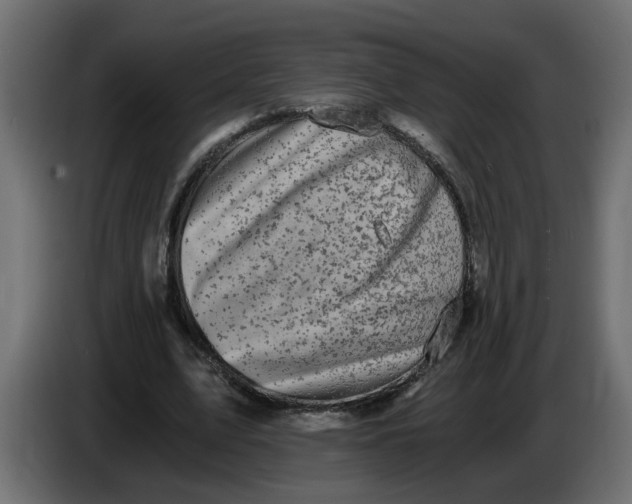 X0000083560583200703021721