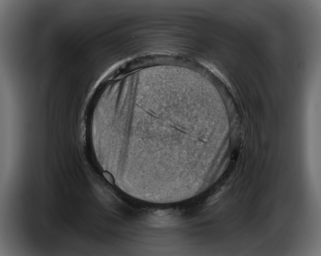 X0000083560584200703021721