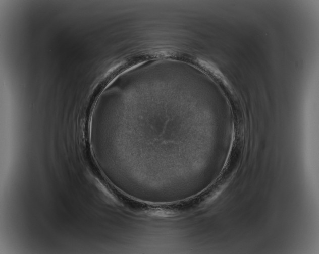 X0000083560585200703021721