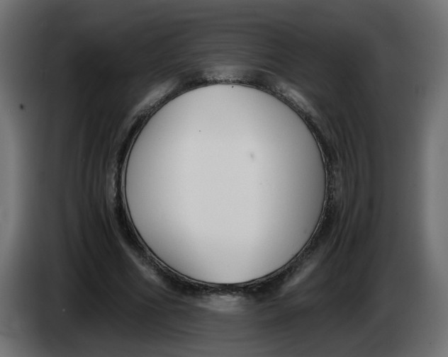 X0000083560586200703021721