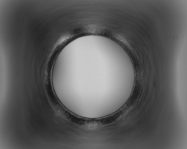 X0000083560587200703021721