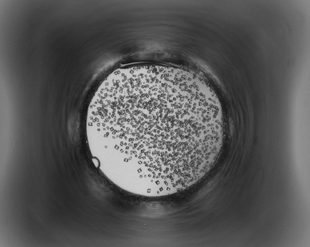 X0000083560588200703021721