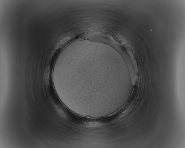 X0000083560590200703021721