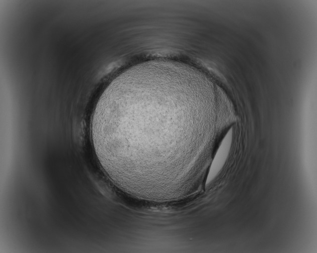 X0000083560591200703021721