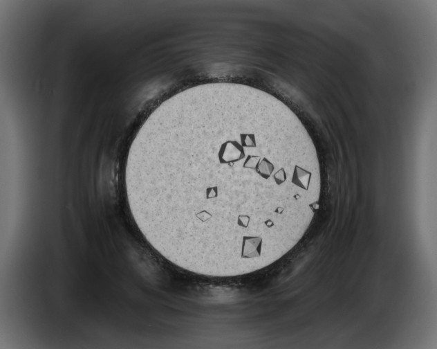 X0000083560592200703021721