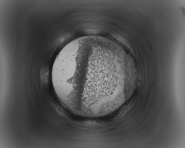 X0000083560596200703021721