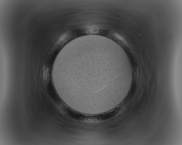 X0000083560598200703021720