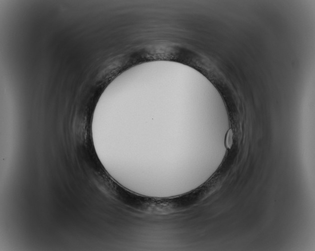 X0000083560599200703021720