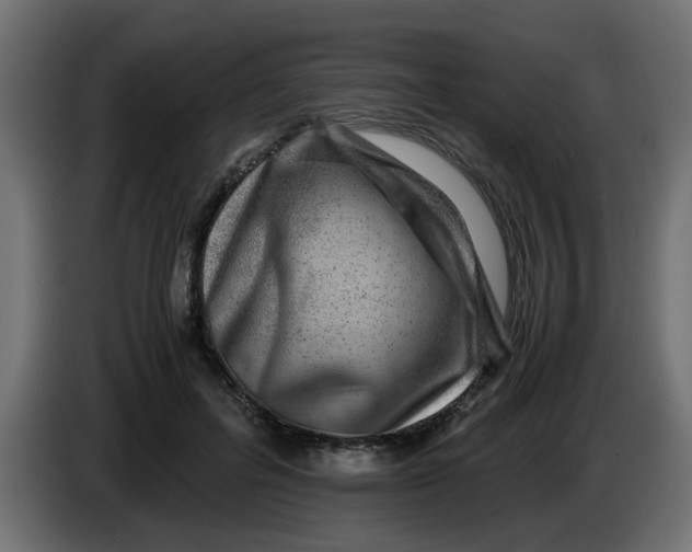 X0000083560600200703021720