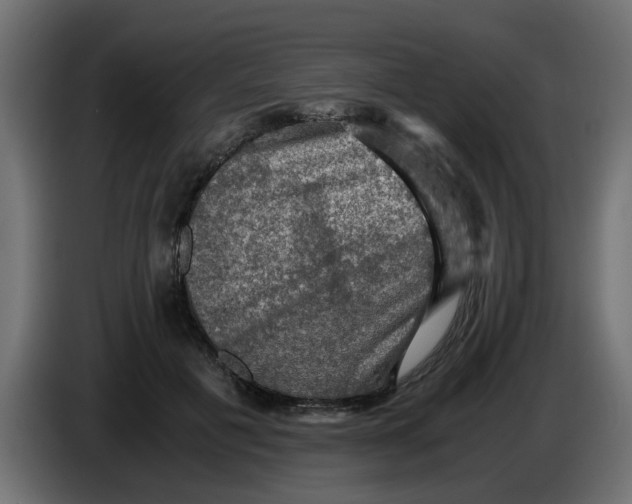 X0000083560601200703021720