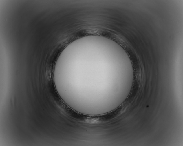 X0000083560602200703021720