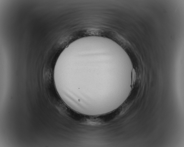 X0000083560603200703021720