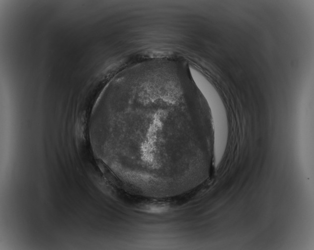 X0000083560604200703021720