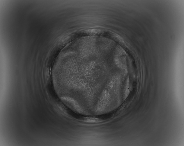 X0000083560605200703021720