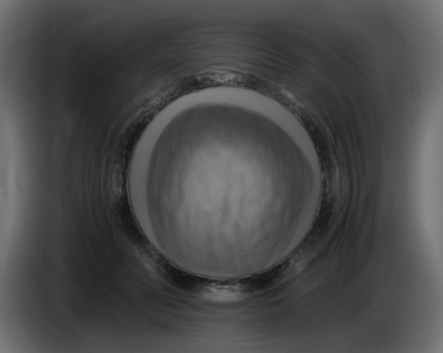 X0000083560606200703021720