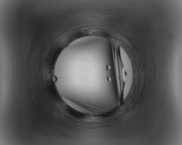 X0000083560607200703021720