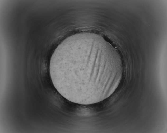 X0000083560608200703021720