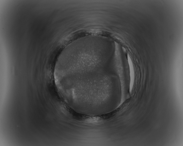 X0000083560609200703021720