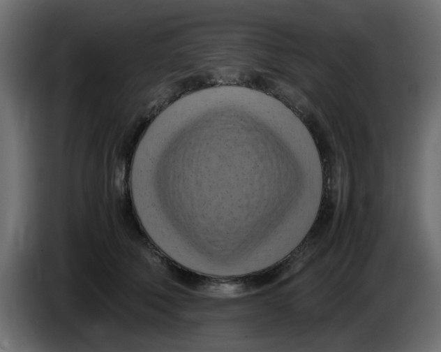 X0000083560610200703021720