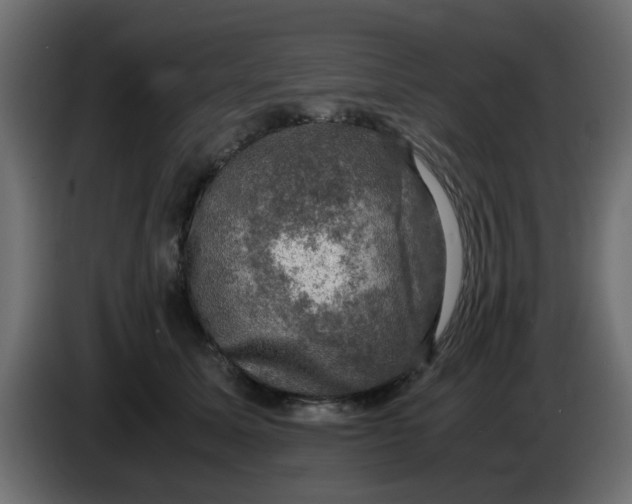 X0000083560611200703021720