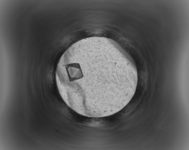 X0000083560612200703021720