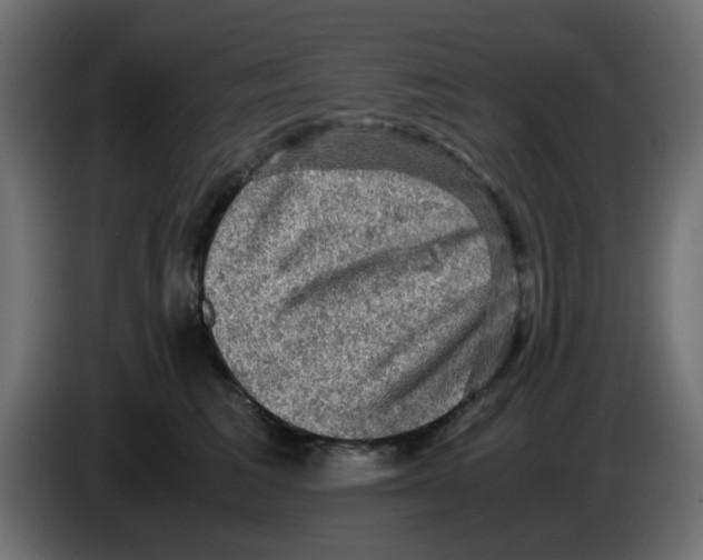 X0000083560613200703021720