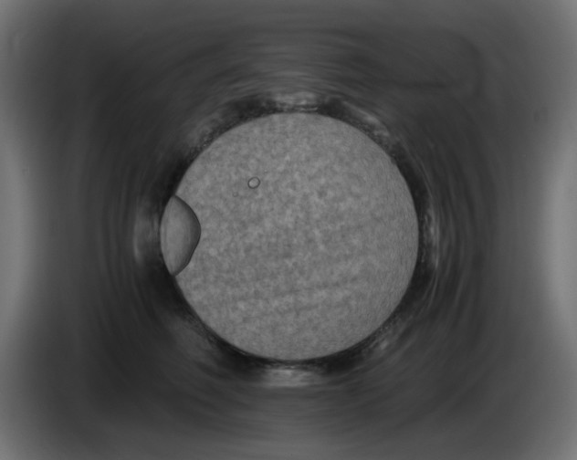 X0000083560614200703021720