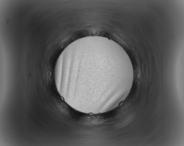 X0000083560615200703021720