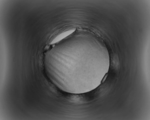 X0000083560616200703021720