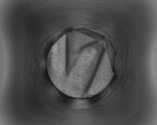 X0000083560617200703021720