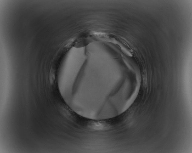 X0000083560618200703021720