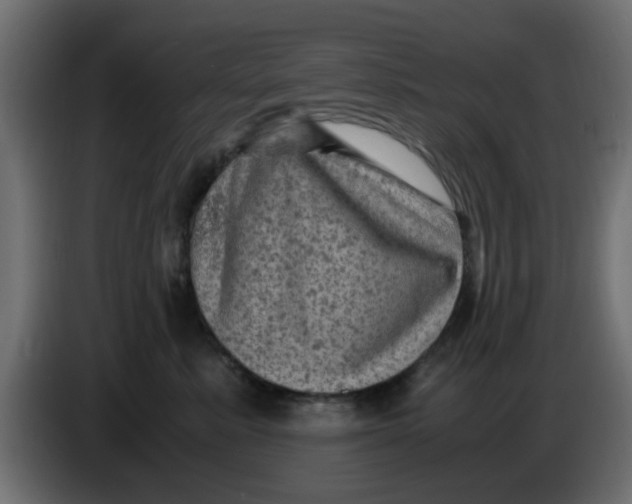 X0000083560619200703021720