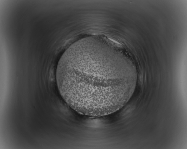 X0000083560620200703021720