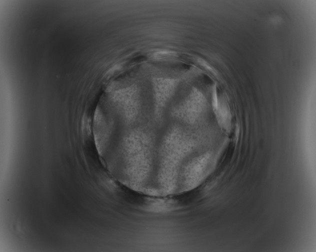 X0000083560621200703021720