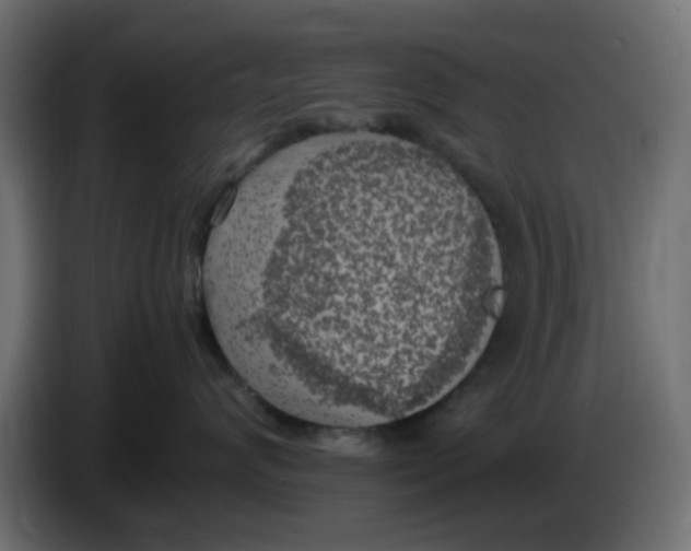 X0000083560624200703021720